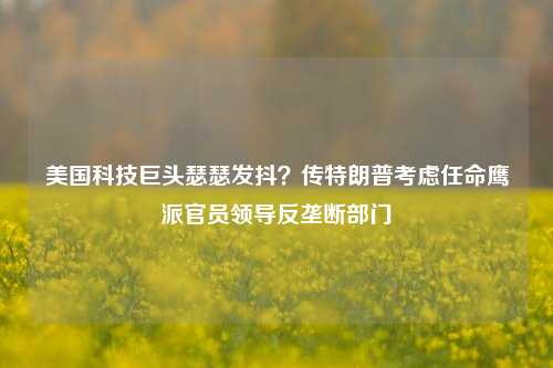 美国科技巨头瑟瑟发抖？传特朗普考虑任命鹰派官员领导反垄断部门-第1张图片-彩票资讯