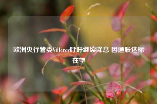 欧洲央行管委Villeroy呼吁继续降息 因通胀达标在望-第1张图片-彩票资讯