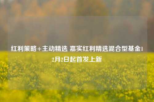 红利策略+主动精选 嘉实红利精选混合型基金12月2日起首发上新-第1张图片-彩票资讯