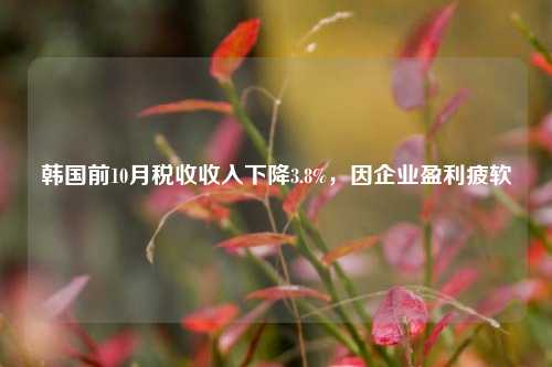 韩国前10月税收收入下降3.8%，因企业盈利疲软-第1张图片-彩票资讯