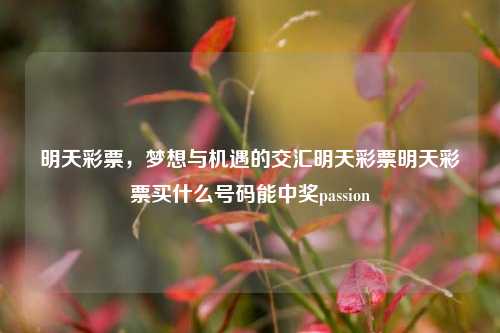 明天彩票，梦想与机遇的交汇明天彩票明天彩票买什么号码能中奖passion-第1张图片-彩票资讯