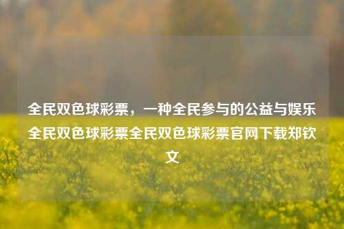 全民双色球彩票，一种全民参与的公益与娱乐全民双色球彩票全民双色球彩票官网下载郑钦文-第1张图片-彩票资讯