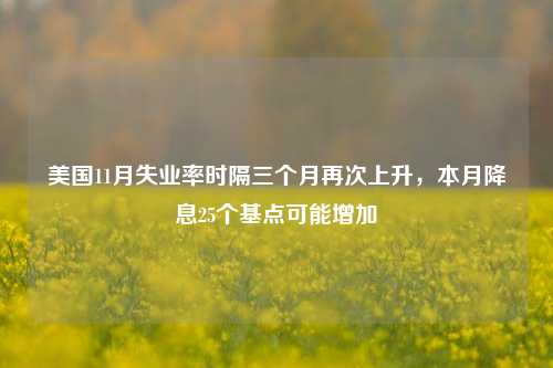 美国11月失业率时隔三个月再次上升，本月降息25个基点可能增加-第1张图片-彩票资讯