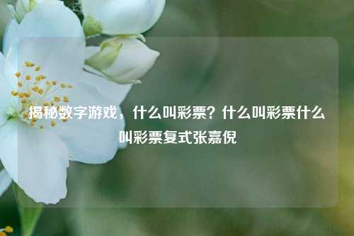 揭秘数字游戏，什么叫彩票？什么叫彩票什么叫彩票复式张嘉倪-第1张图片-彩票资讯