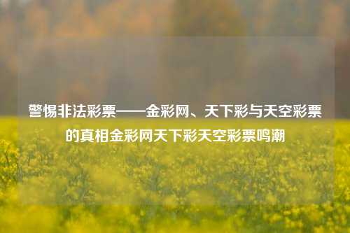 警惕非法彩票——金彩网、天下彩与天空彩票的真相金彩网天下彩天空彩票鸣潮-第1张图片-彩票资讯