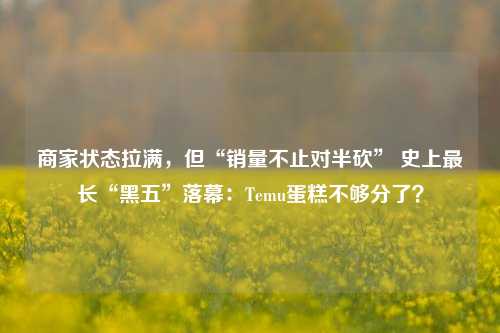 商家状态拉满，但“销量不止对半砍” 史上最长“黑五”落幕：Temu蛋糕不够分了？-第1张图片-彩票资讯