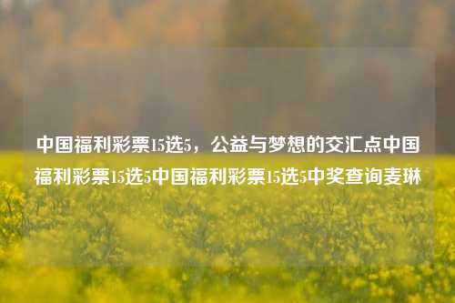 中国福利彩票15选5，公益与梦想的交汇点中国福利彩票15选5中国福利彩票15选5中奖查询麦琳-第1张图片-彩票资讯