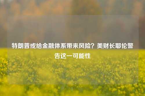 特朗普或给金融体系带来风险？美财长耶伦警告这一可能性-第1张图片-彩票资讯