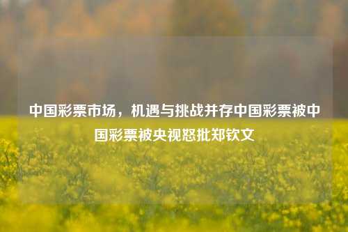 中国彩票市场，机遇与挑战并存中国彩票被中国彩票被央视怒批郑钦文-第1张图片-彩票资讯