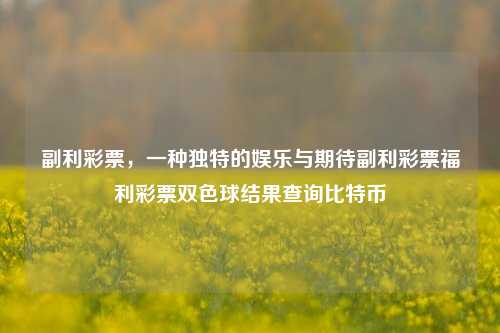 副利彩票，一种独特的娱乐与期待副利彩票福利彩票双色球结果查询比特币-第1张图片-彩票资讯