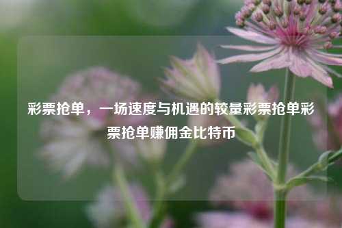 彩票抢单，一场速度与机遇的较量彩票抢单彩票抢单赚佣金比特币-第1张图片-彩票资讯