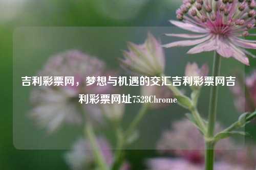 吉利彩票网，梦想与机遇的交汇吉利彩票网吉利彩票网址7528Chrome-第1张图片-彩票资讯