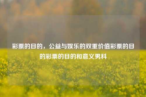 彩票的目的，公益与娱乐的双重价值彩票的目的彩票的目的和意义男科-第1张图片-彩票资讯