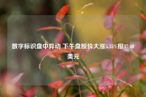 数字标识盘中异动 下午盘股价大涨5.35%报37.40美元-第1张图片-彩票资讯