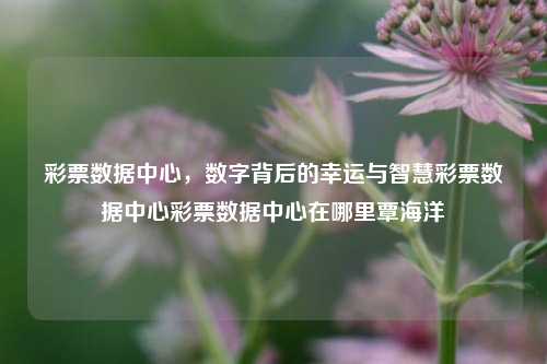 彩票数据中心，数字背后的幸运与智慧彩票数据中心彩票数据中心在哪里覃海洋-第1张图片-彩票资讯