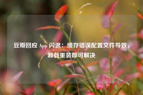 豆瓣回应 App 闪退：缓存错误配置文件导致，卸载重装即可解决-第1张图片-彩票资讯