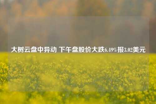 大树云盘中异动 下午盘股价大跌6.49%报3.02美元-第1张图片-彩票资讯