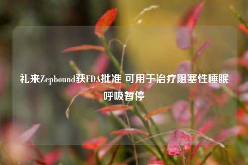 礼来Zepbound获FDA批准 可用于治疗阻塞性睡眠呼吸暂停-第1张图片-彩票资讯