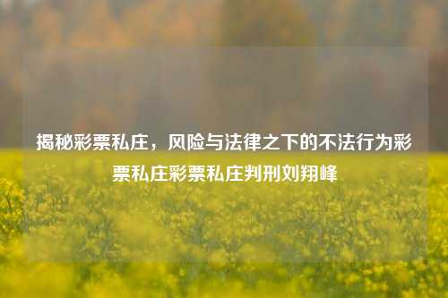 揭秘彩票私庄，风险与法律之下的不法行为彩票私庄彩票私庄判刑刘翔峰-第1张图片-彩票资讯