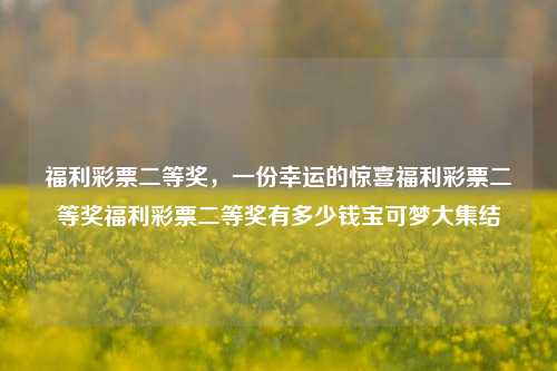 福利彩票二等奖，一份幸运的惊喜福利彩票二等奖福利彩票二等奖有多少钱宝可梦大集结-第1张图片-彩票资讯