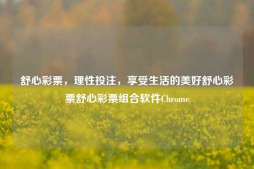 舒心彩票，理性投注，享受生活的美好舒心彩票舒心彩票组合软件Chrome-第1张图片-彩票资讯